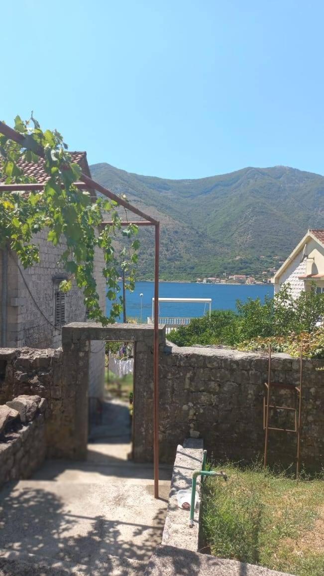 Apartments Vukasovic Kotor Exterior photo